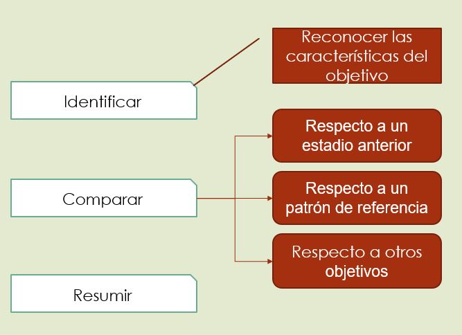 \label{Preguntar}Tareas asociadas al preguntar